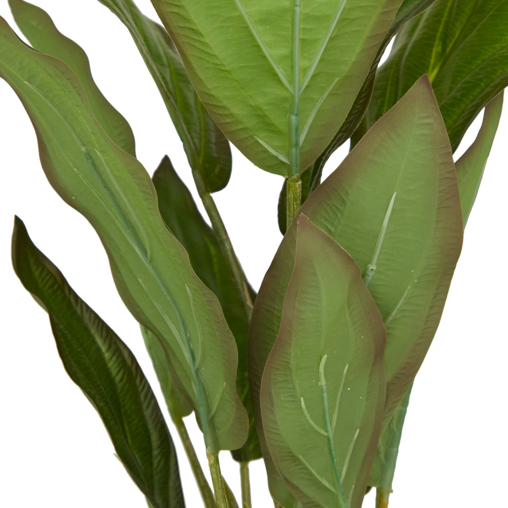 2ft. Coastal Style Artificial Foliage in White Bamboo Pot